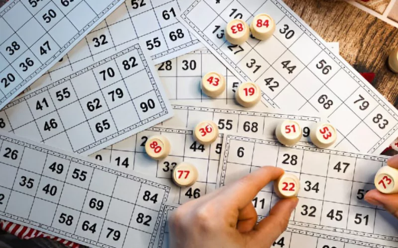 dear lottery result today at Sikkim Game featured
